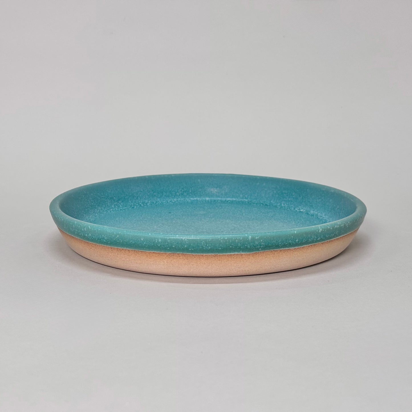 Dinner Plate - 9"