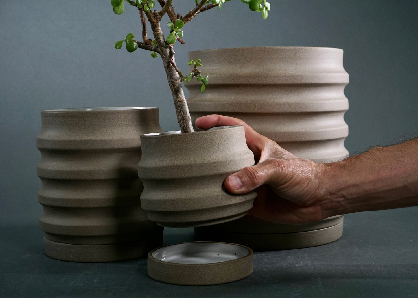 Primera Planters